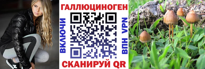 Купить  Альметьевск  Галлюциногенные грибы мухоморы 